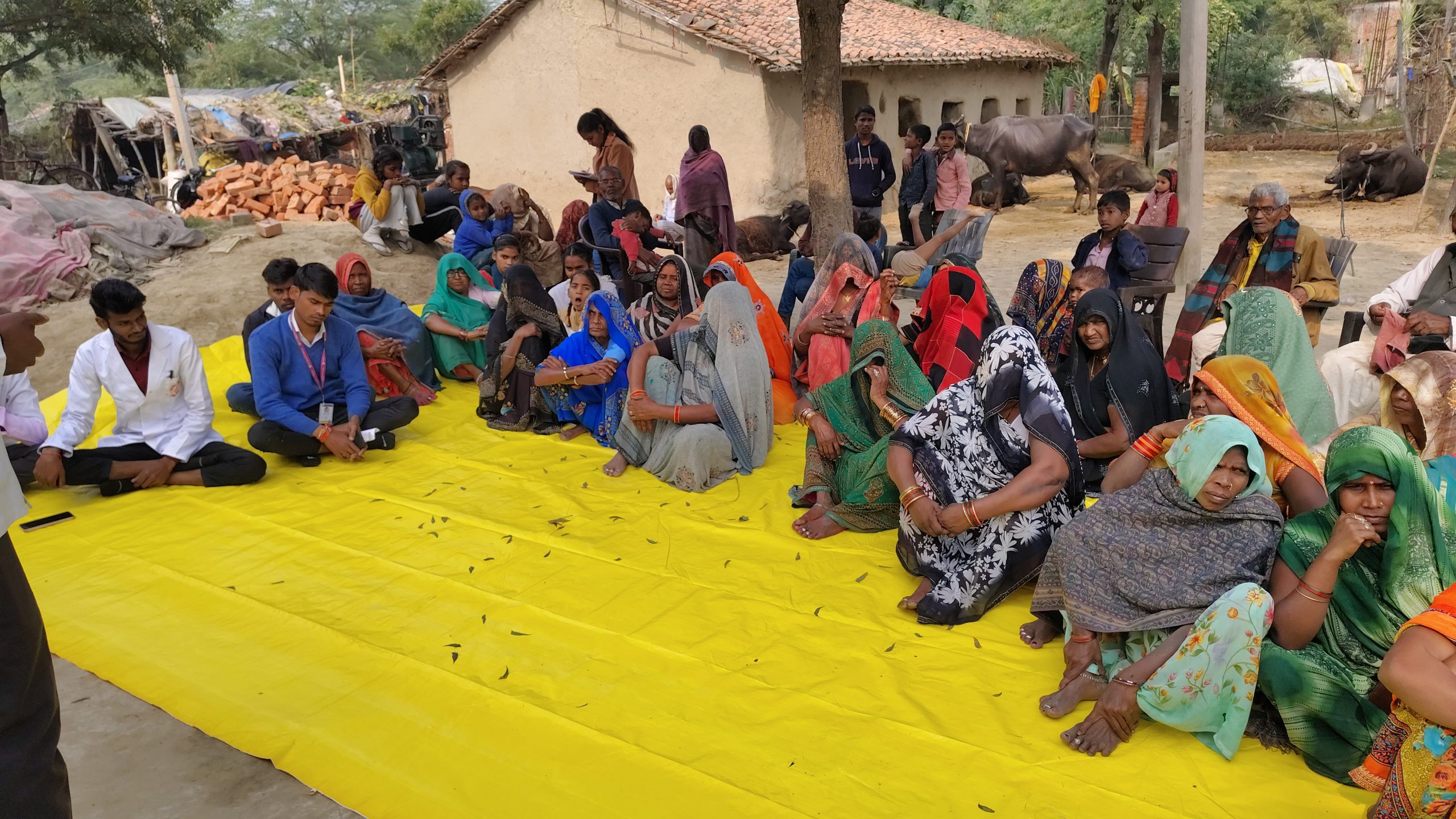 IMG_20251216_125302000